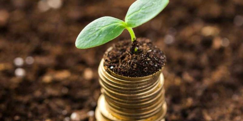 Ação anulatória de multas ambientais