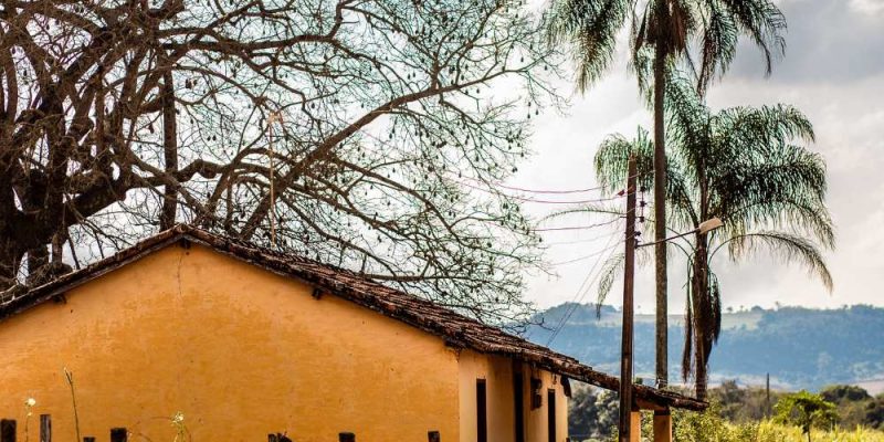 Assessoria na arrematação de imóveis rurais