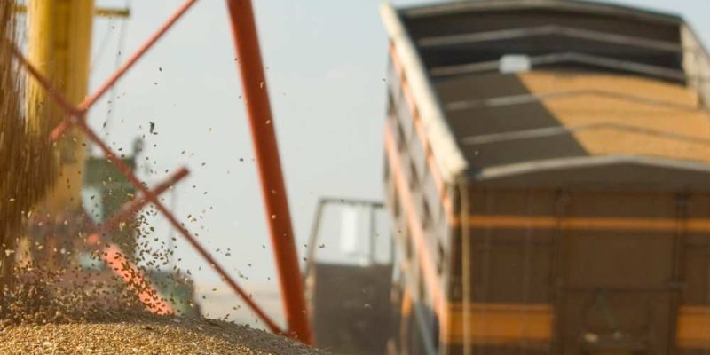 Liberação de veículos (caminhões) e maquinários apreendidos