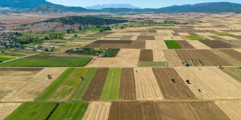 Regularização Fundiária